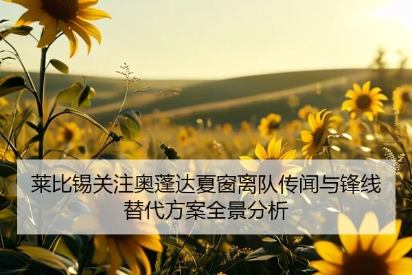 莱比锡关注奥蓬达夏窗离队传闻与锋线替代方案全景分析